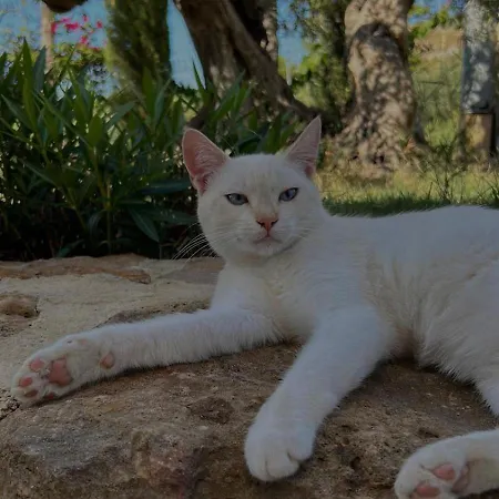 شقة Casa Menta - Nature Experience